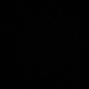 Meet your Posher, Mia